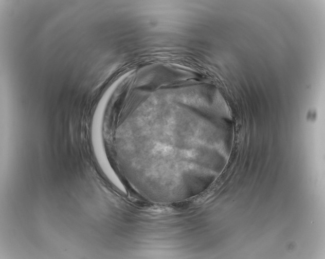 X0000093150712200710241403