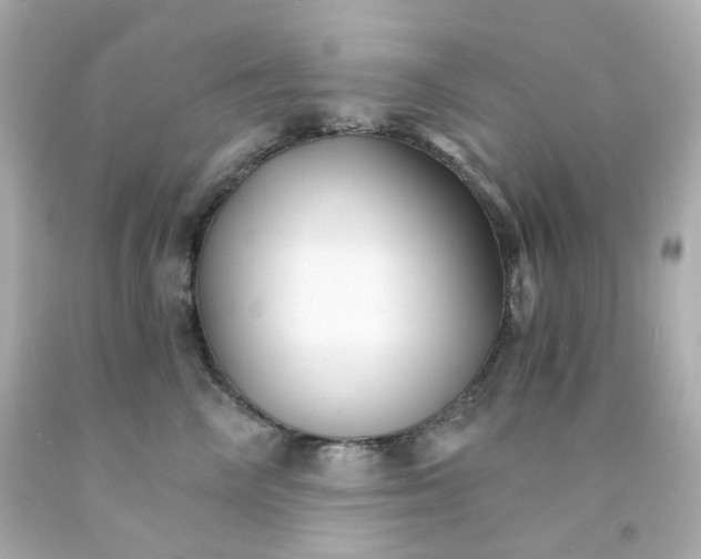 X0000093150714200710241402