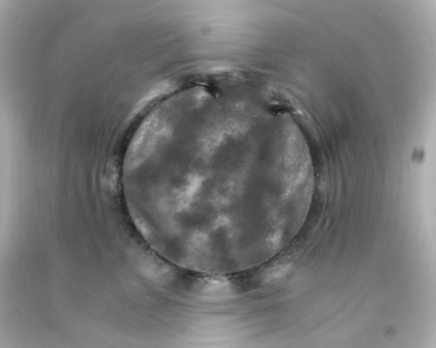 X0000093150715200710241402