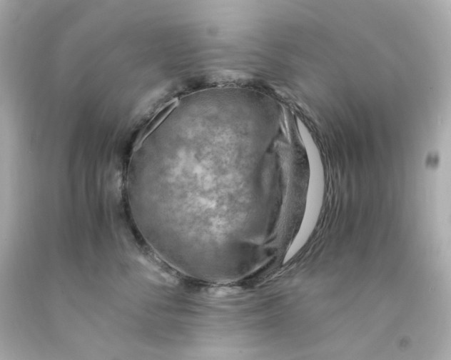 X0000093150716200710241402