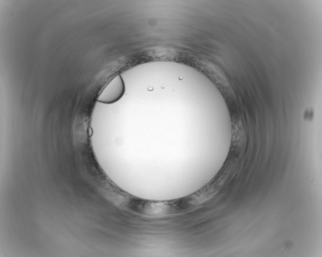 X0000093150717200710241402