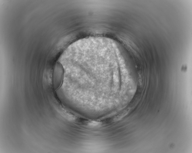 X0000093150718200710241402