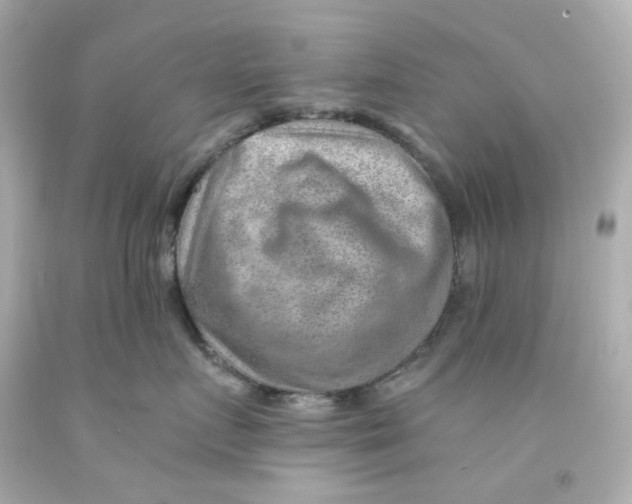 X0000093150719200710241402