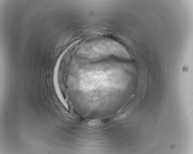 X0000093150720200710241402