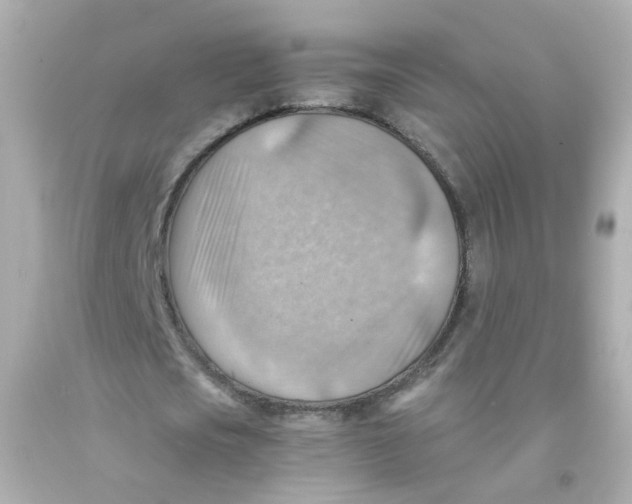 X0000093150721200710241402