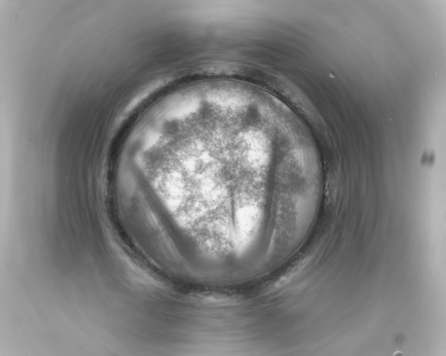 X0000093150722200710241402