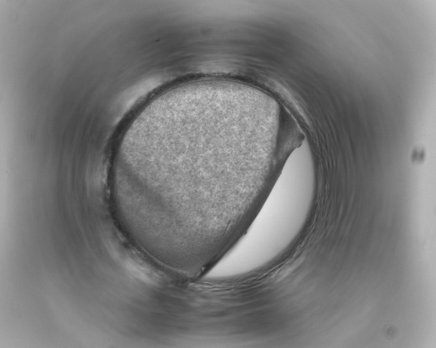 X0000093150723200710241402