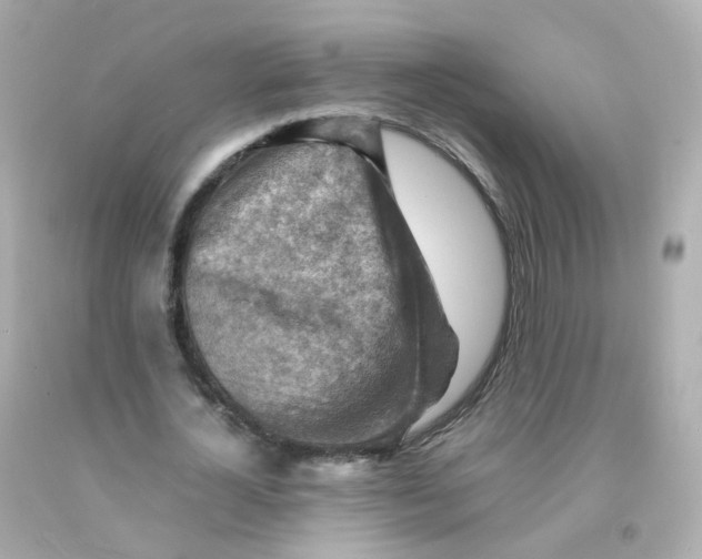 X0000093150724200710241402