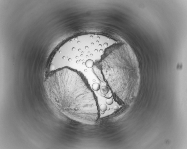 X0000093150725200710241402