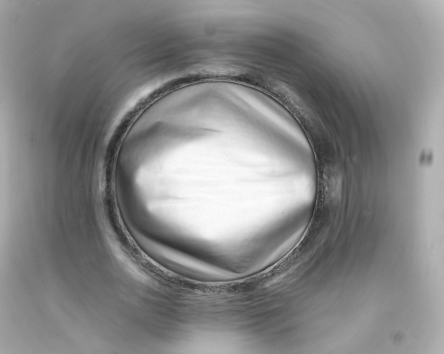 X0000093150726200710241402