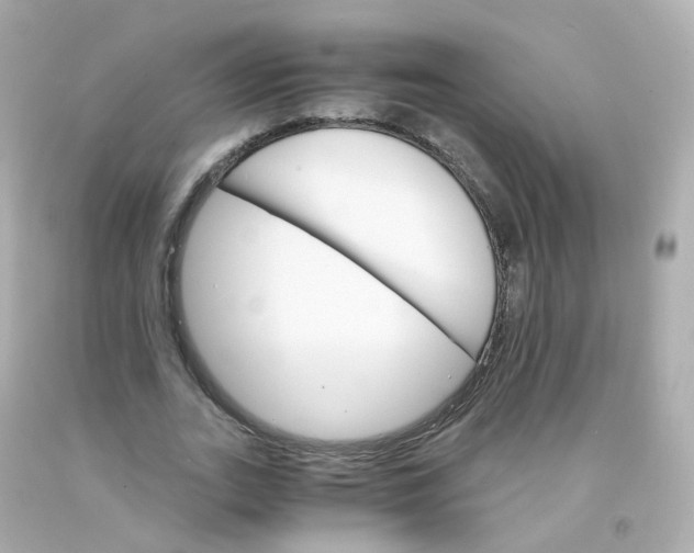 X0000093150727200710241402