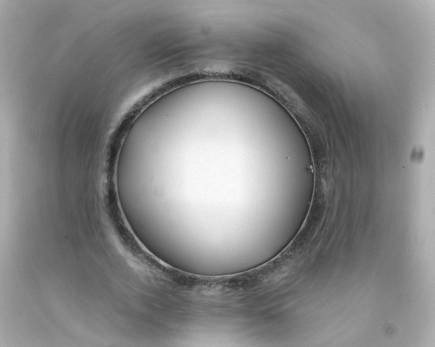 X0000093150728200710241402