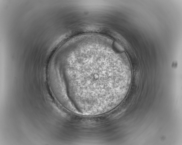 X0000093150729200710241402