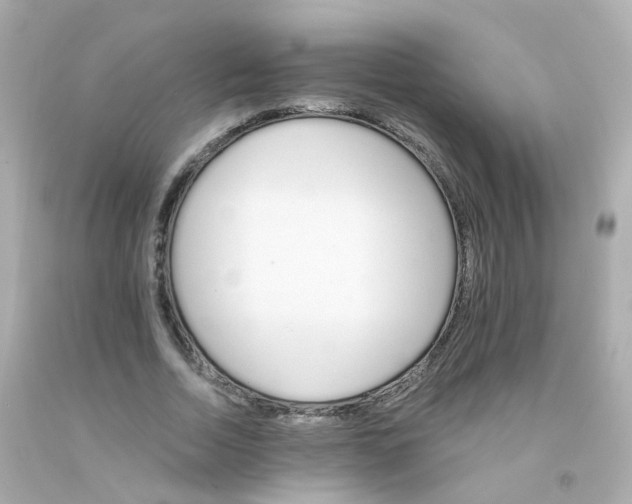 X0000093150730200710241402