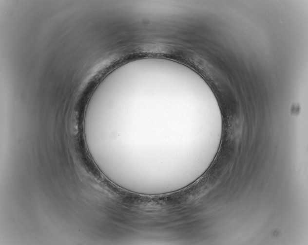 X0000093150731200710241402