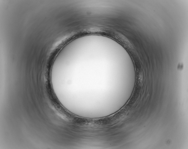 X0000093150732200710241402