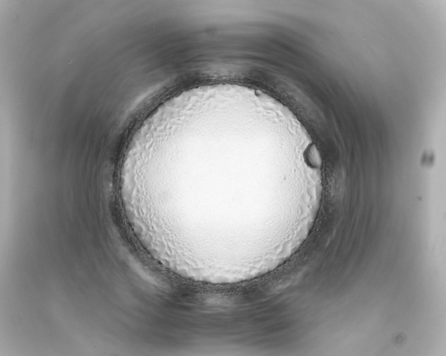 X0000093150733200710241402