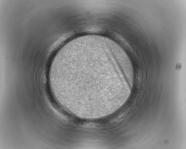 X0000093150734200710241402