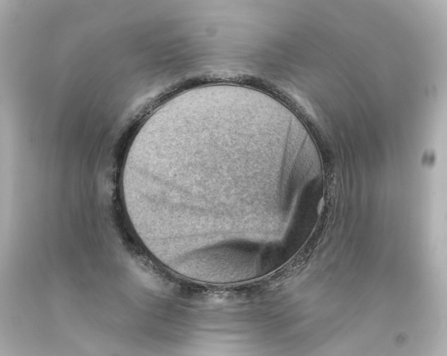 X0000093150736200710241402