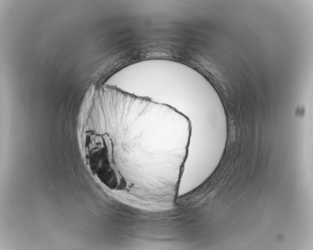 X0000093150737200710241402