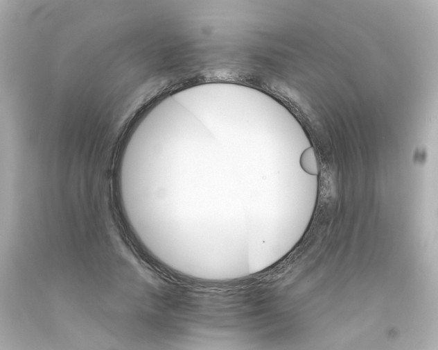 X0000093150738200710241402