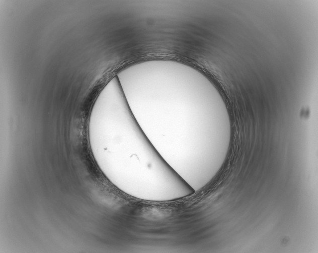 X0000093150739200710241402