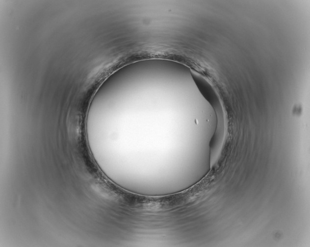 X0000093150740200710241402