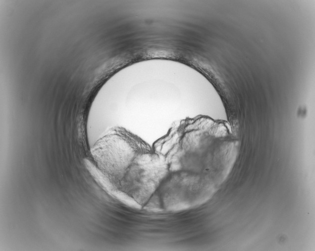 X0000093150741200710241402