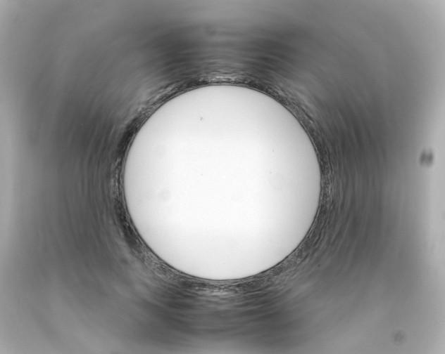 X0000093150743200710241402