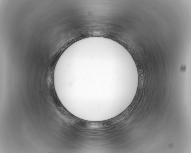 X0000093150746200710241402