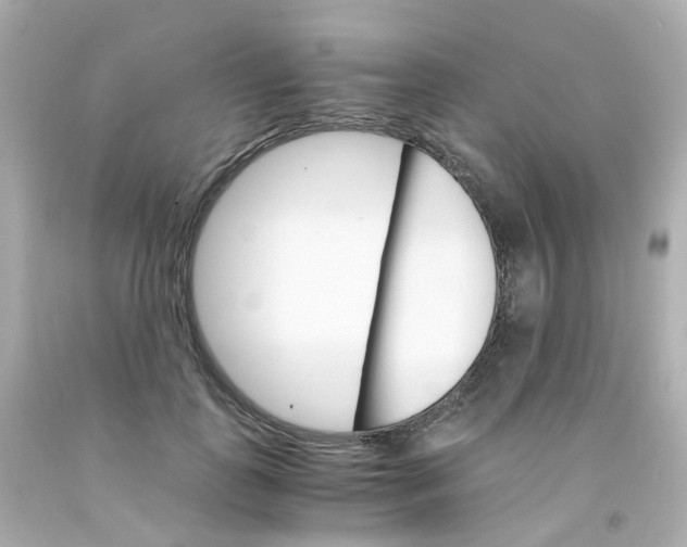 X0000093150747200710241402