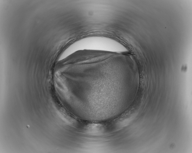 X0000093150748200710241402