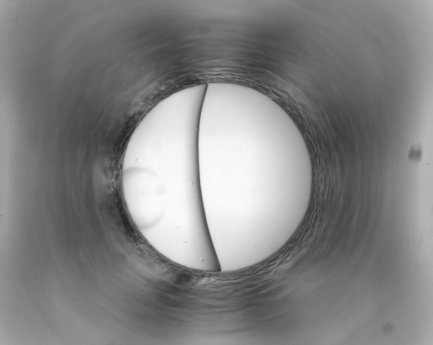 X0000093150751200710241402