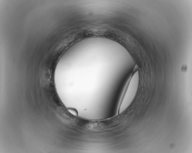 X0000093150752200710241402