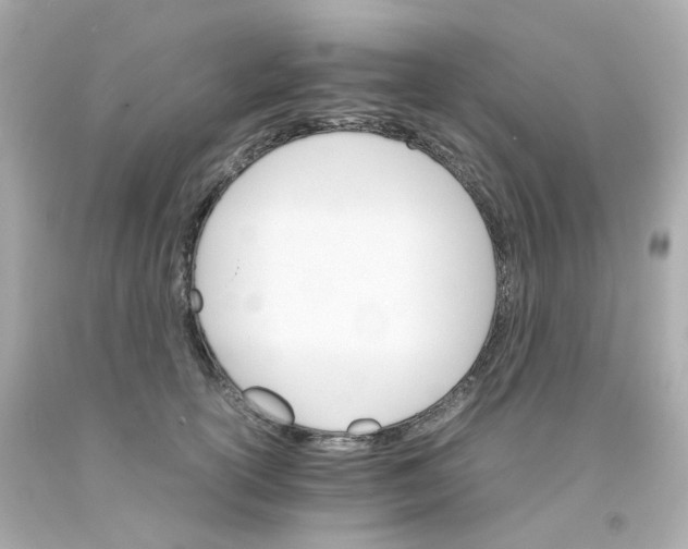 X0000093150754200710241402