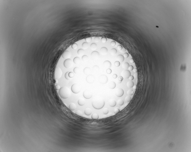 X0000093150755200710241402