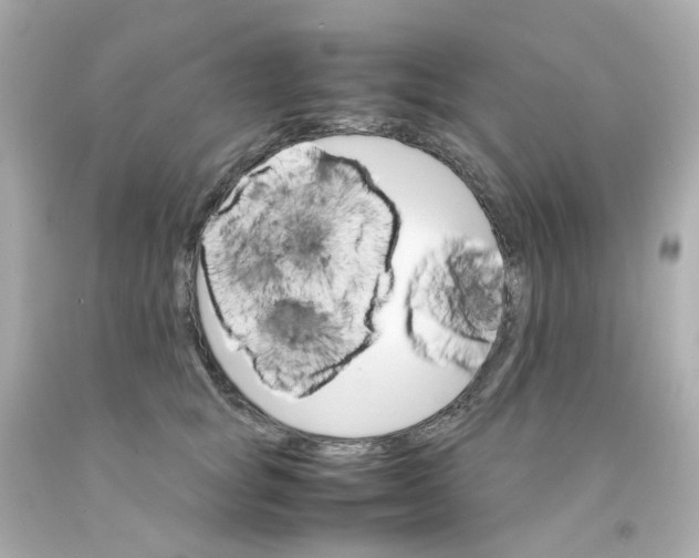 X0000093150757200710241402