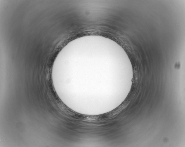 X0000093150758200710241402