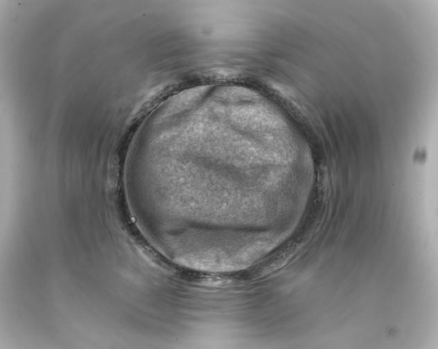 X0000093150760200710241402