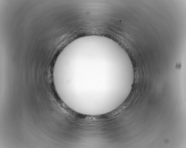 X0000093150764200710241402