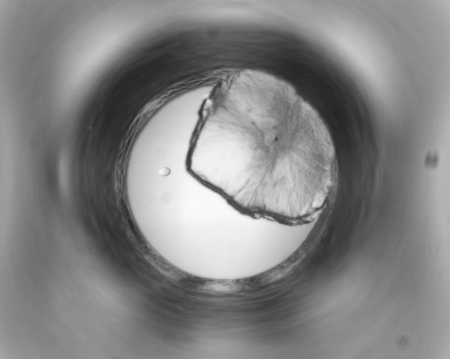 X0000093150765200710241402