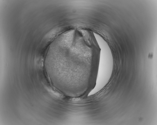 X0000093150766200710241402