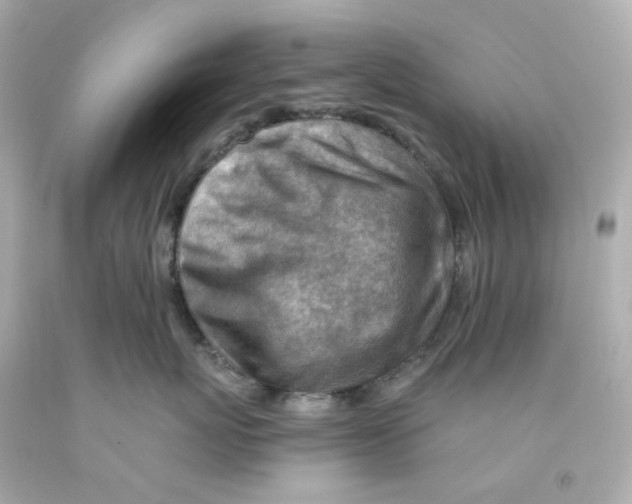 X0000093150767200710241402