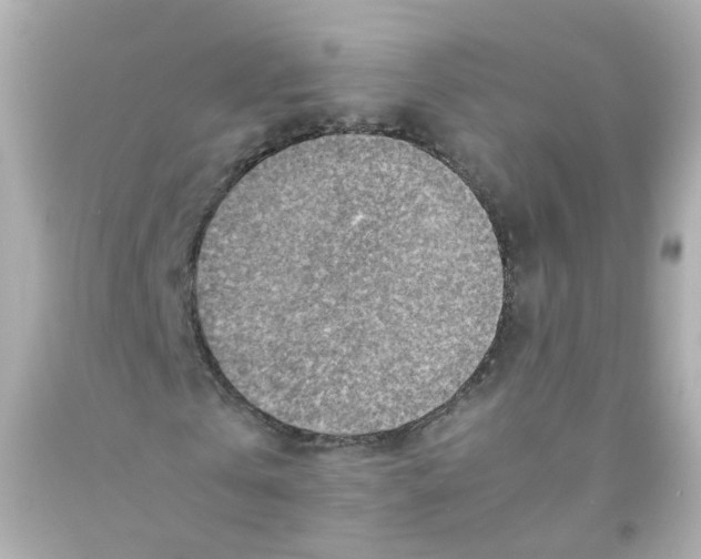 X0000093150769200710241402