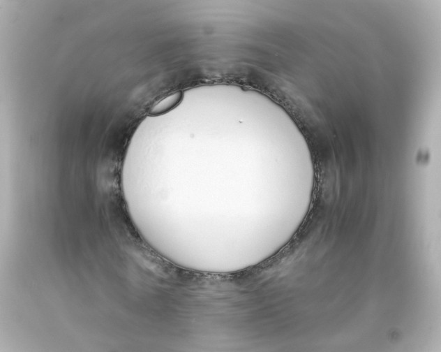 X0000093150770200710241402