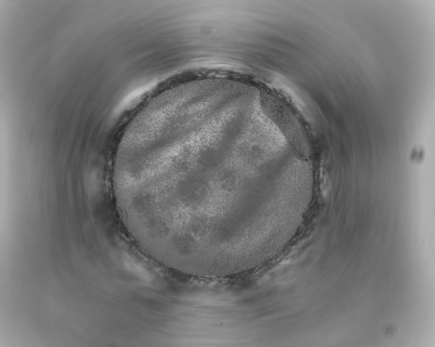 X0000093150775200710241402