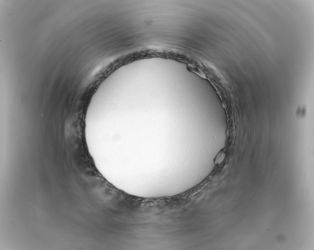 X0000093150776200710241402