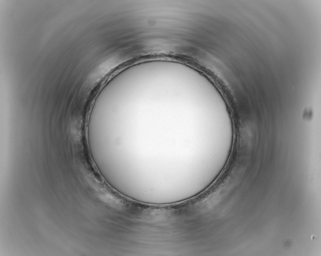 X0000093150778200710241402