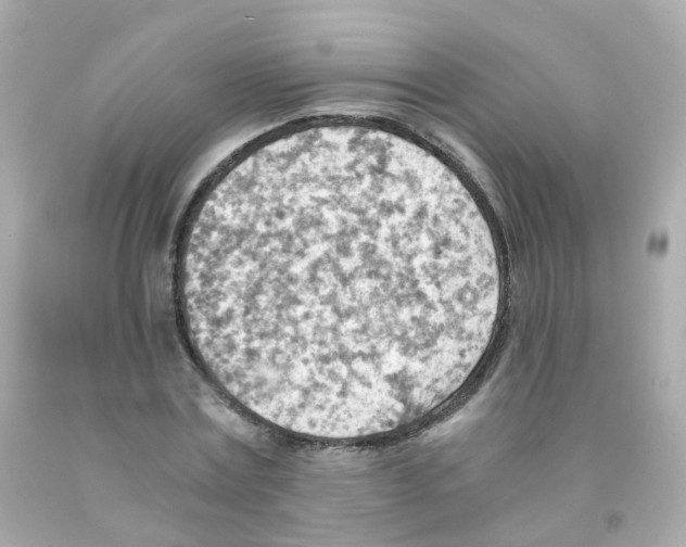 X0000093150779200710241402