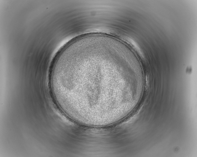 X0000093150780200710241402